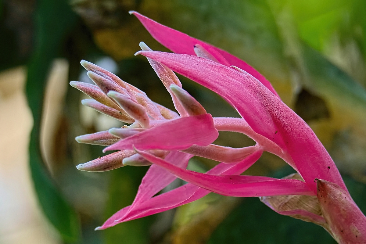 Image00010k