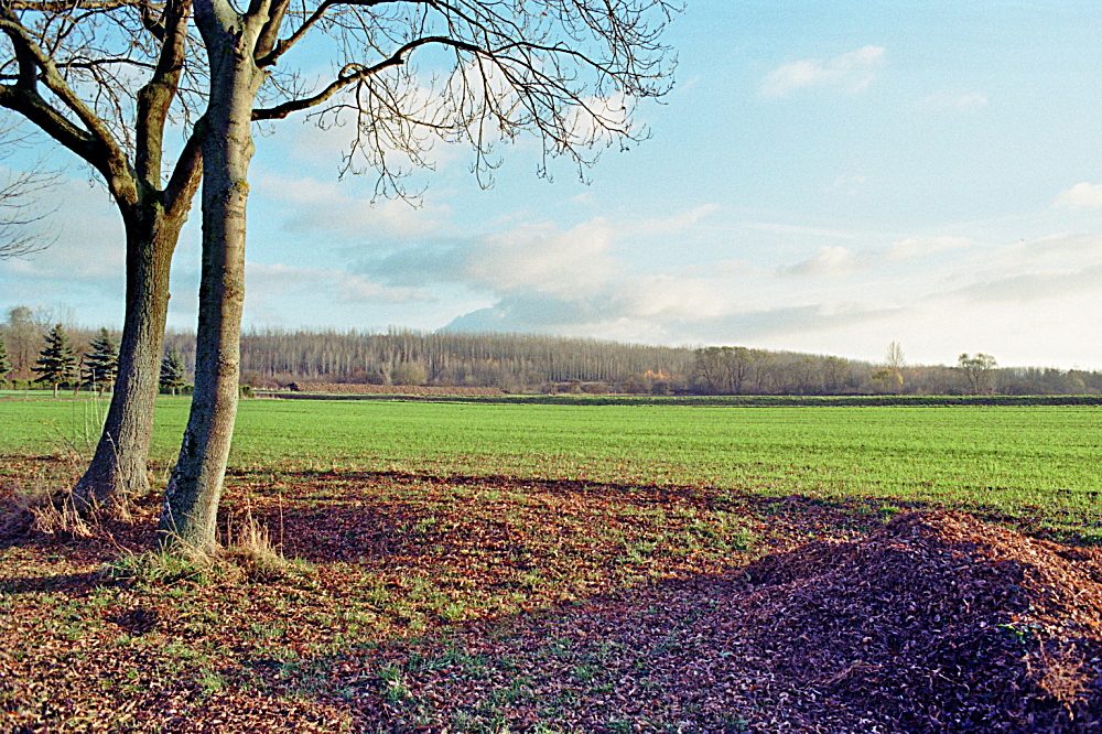 Image030 02