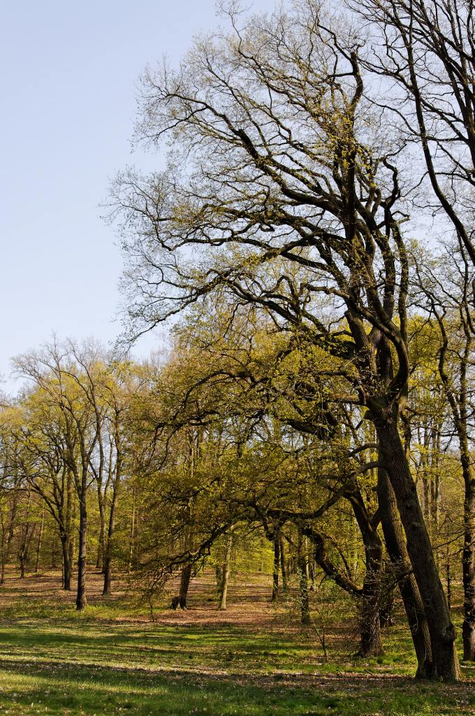 image090