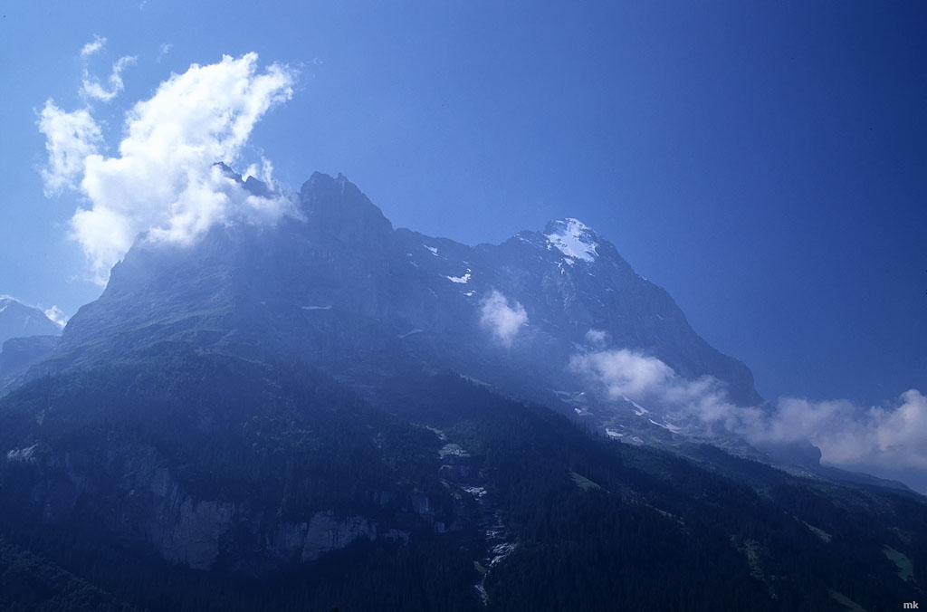 Image1