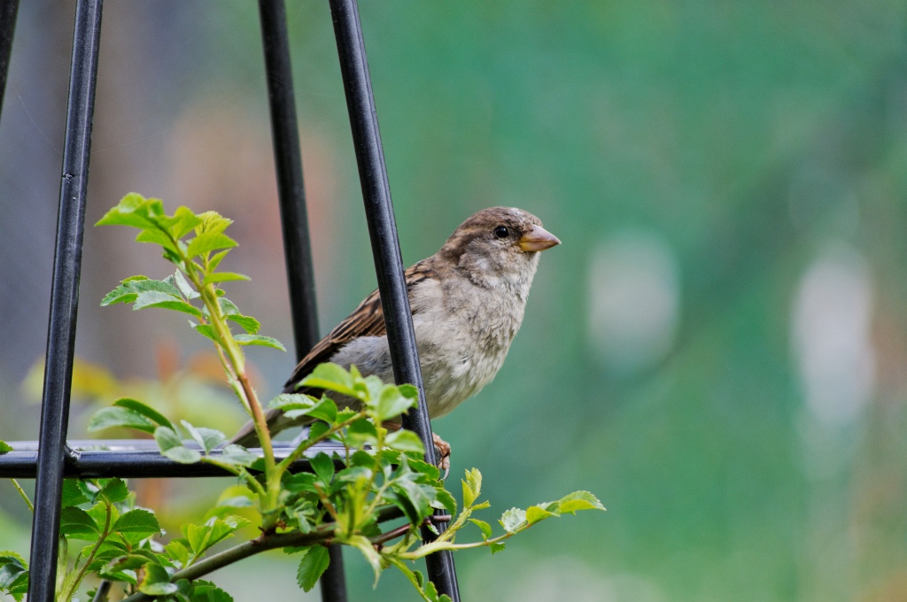 image108