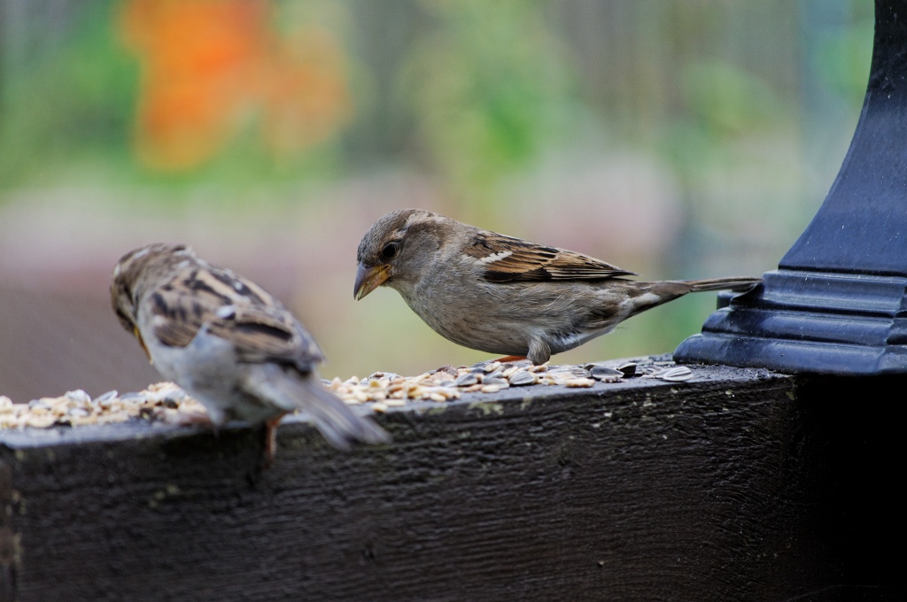 image111