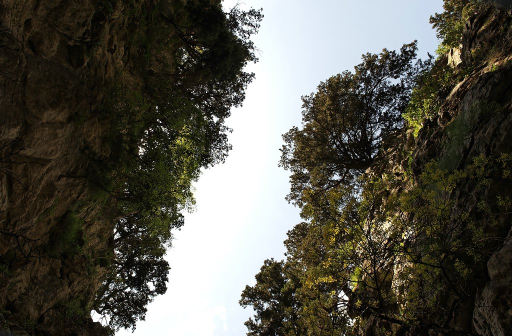 imbros
