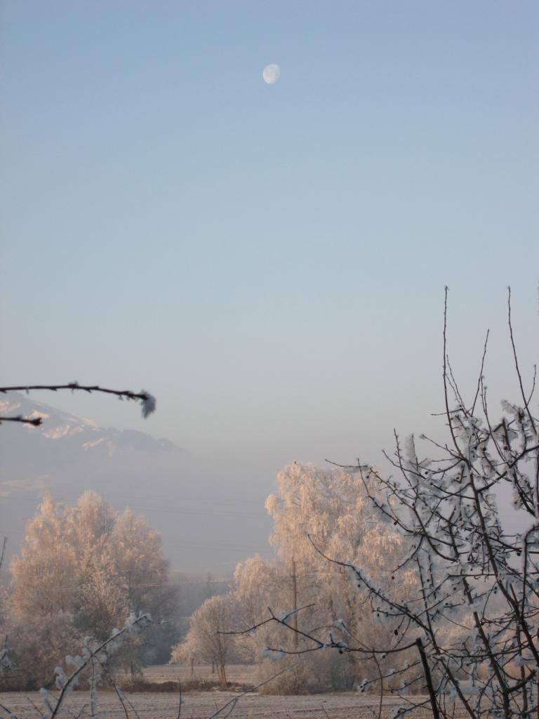 IMG 0013 1