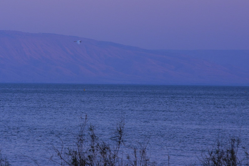 IMG 0405 01