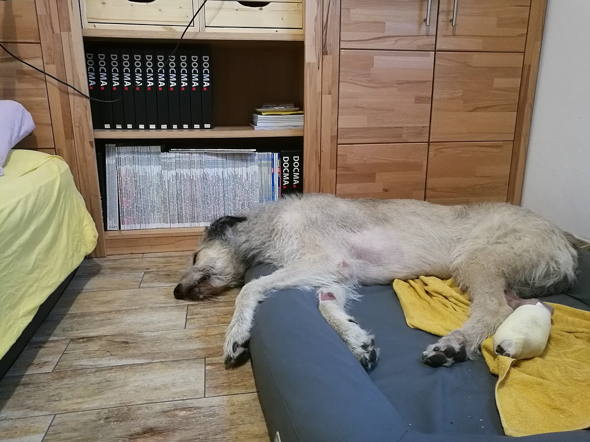 IMG 20170504 190055c