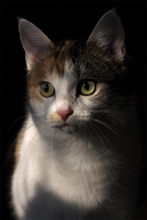 IMG 4645 khp wilma 800 lr