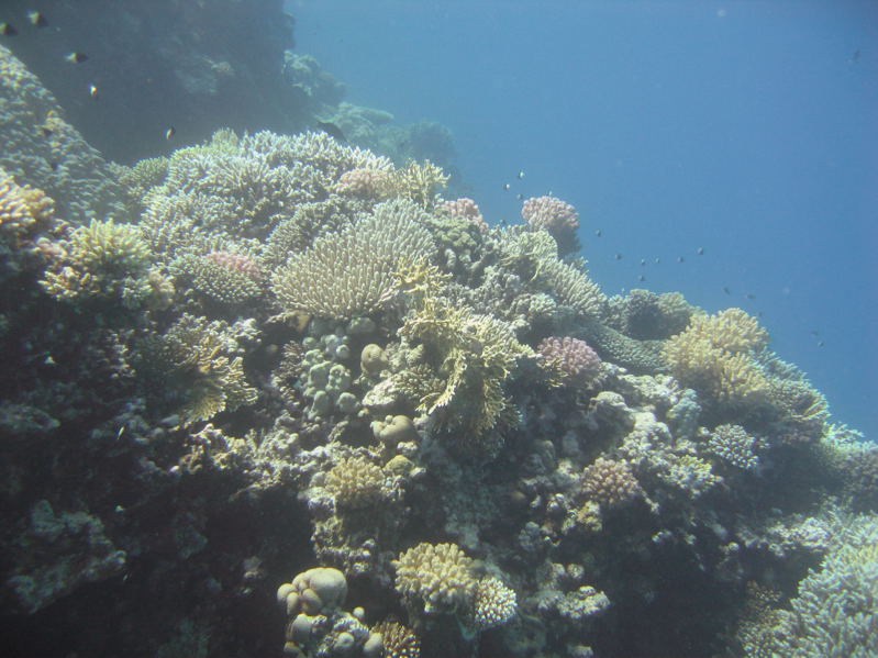 IMG 7879 3