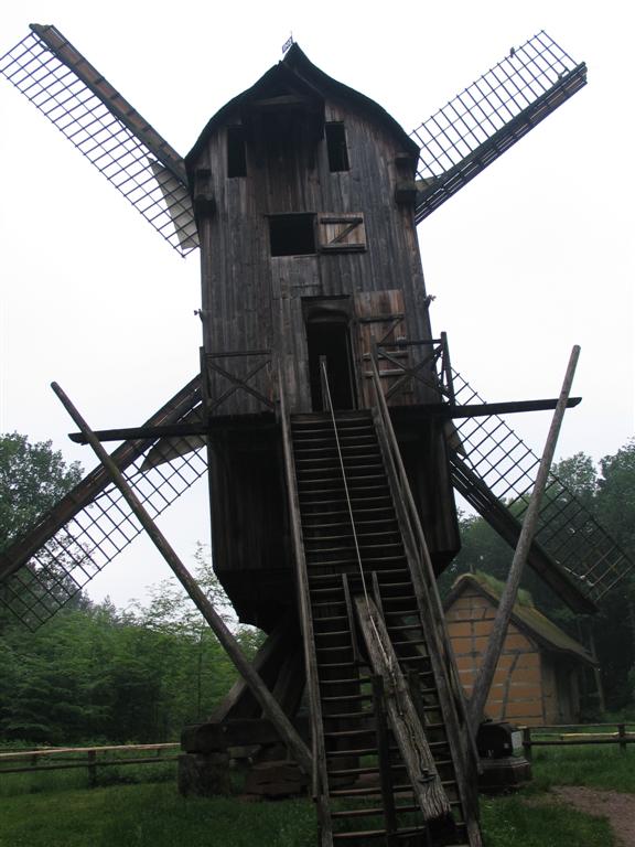 IMG 9740 (Large)