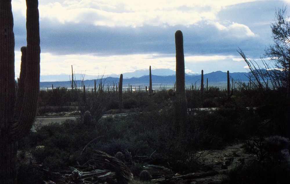 img086.jpg