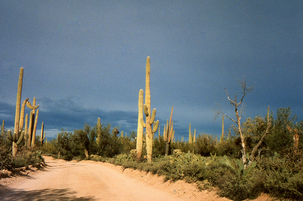 img087.jpg