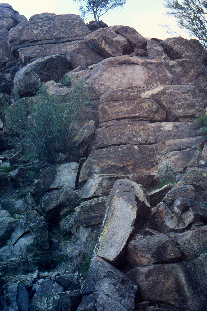 img091.jpg