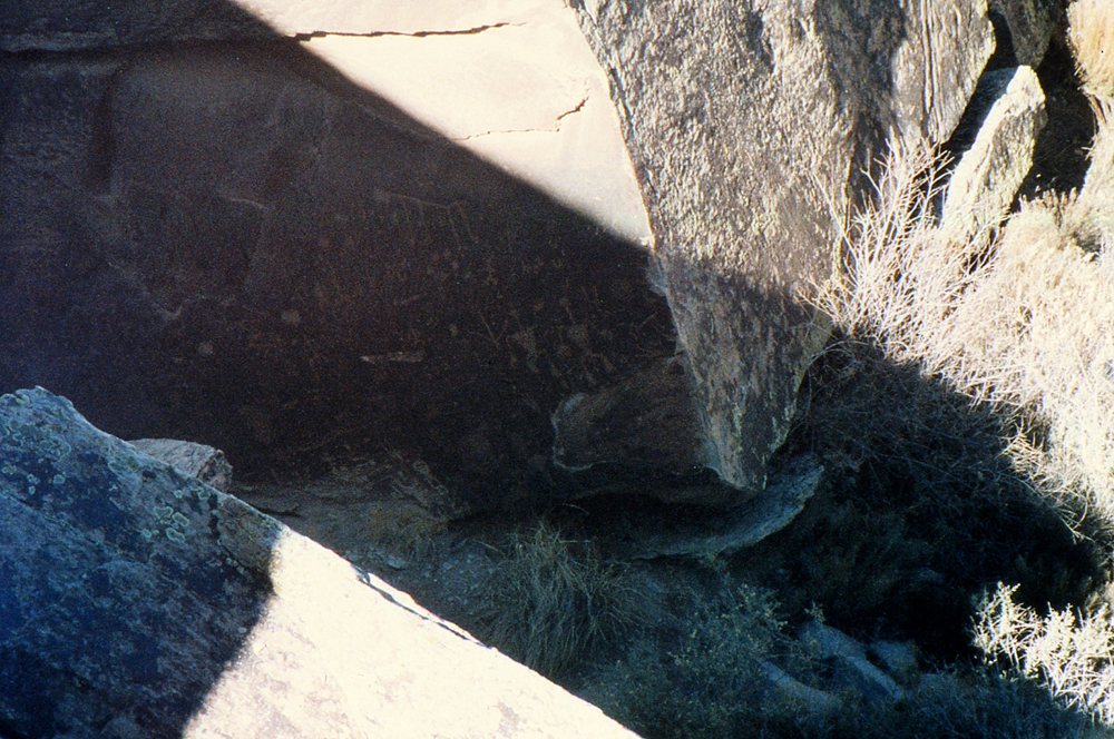 img103.jpg