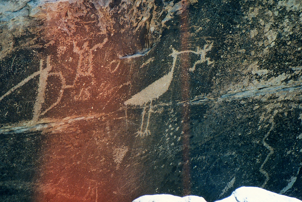 img104.jpg