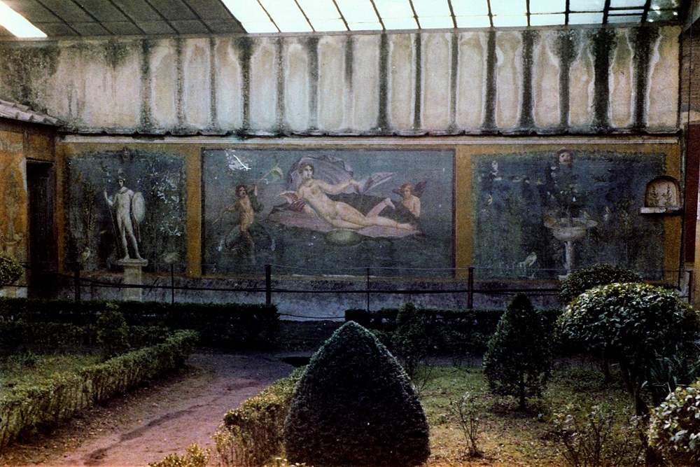 img535.jpg