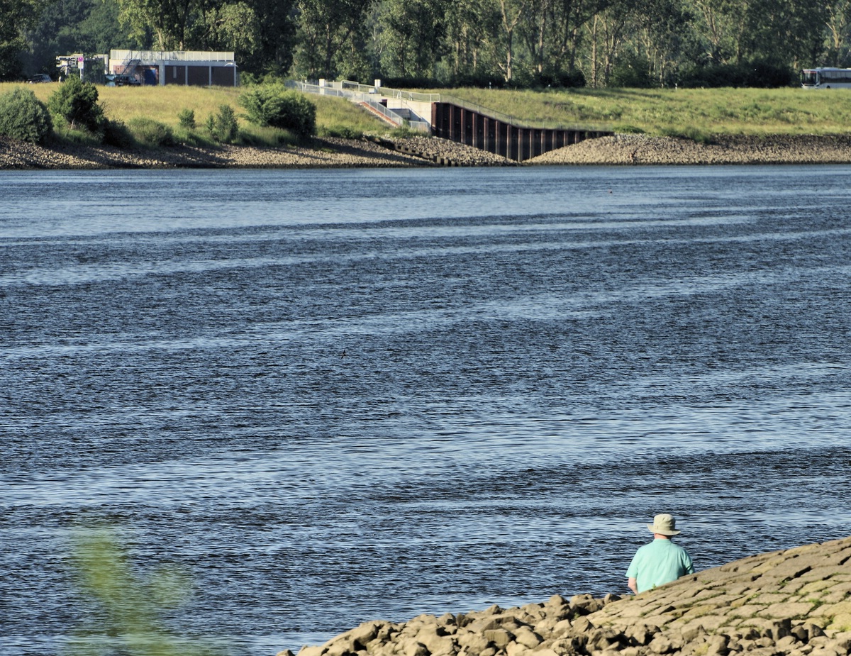 IMG5407  diesseits der Elbe.jpg