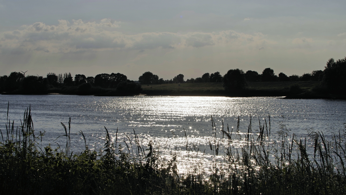 IMG5478.jpg