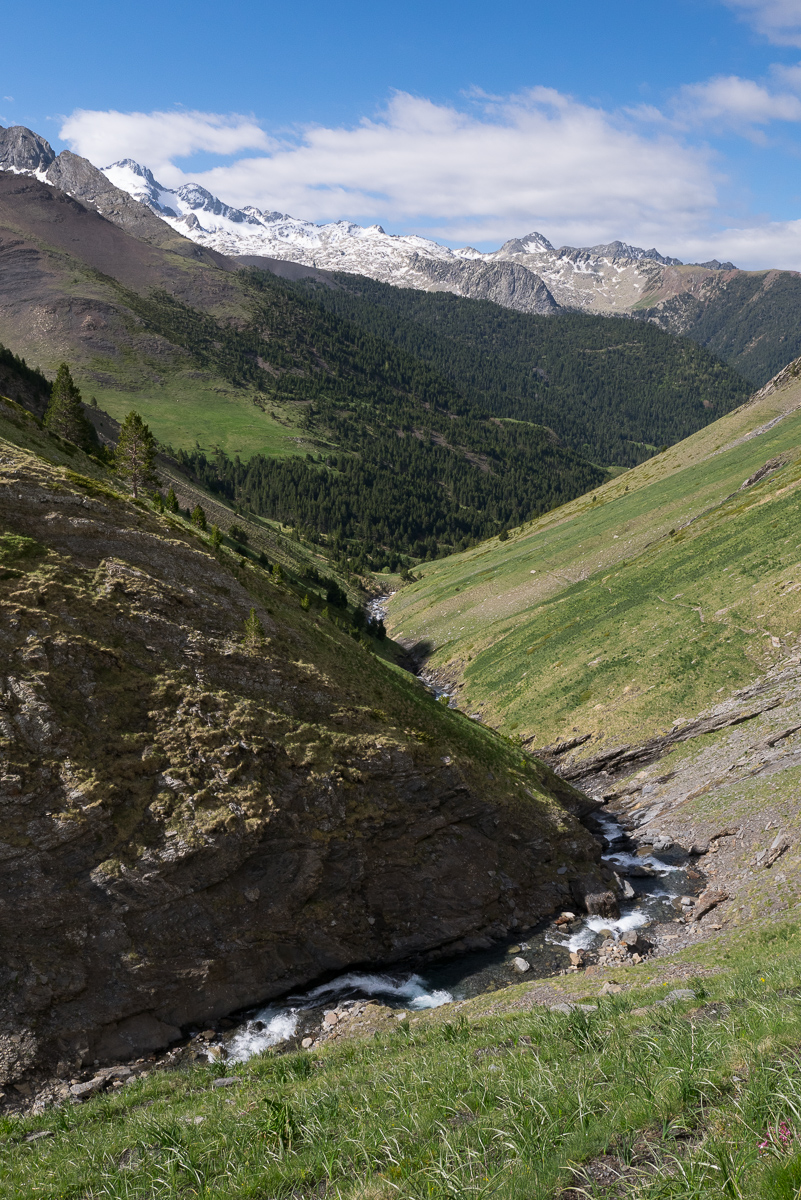 IMG_2019-06-08_10-09-04.jpg