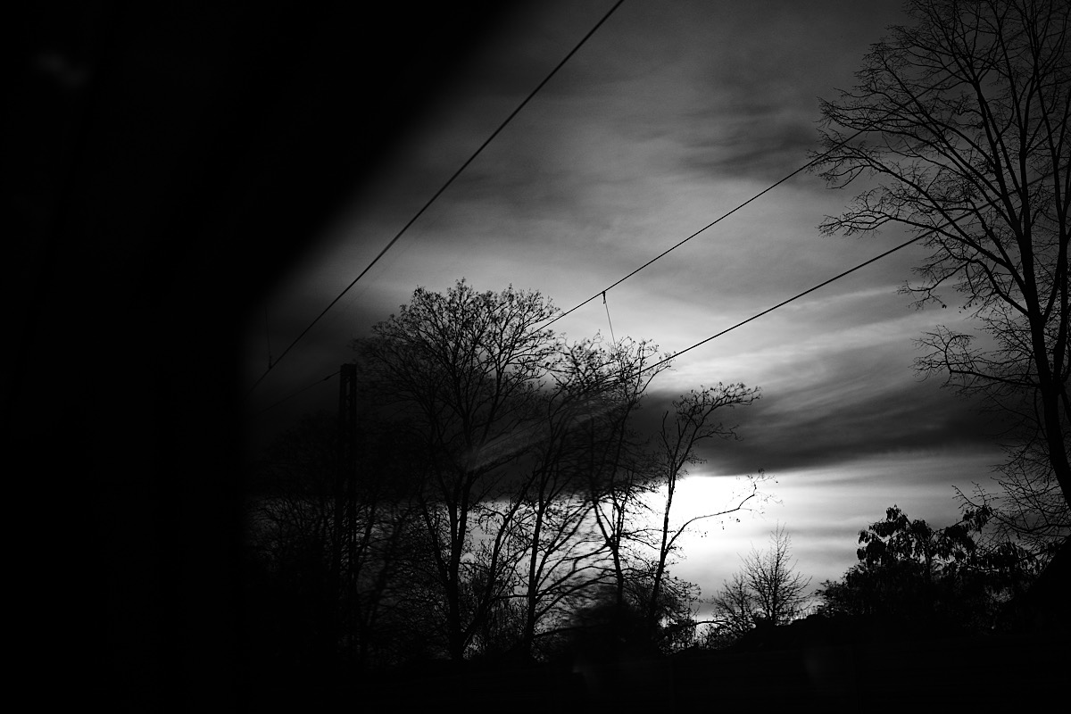 IMG_2026-04-08-194613.jpeg
