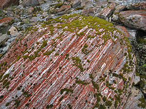 Impression Franz Josef Glacier - Southisland