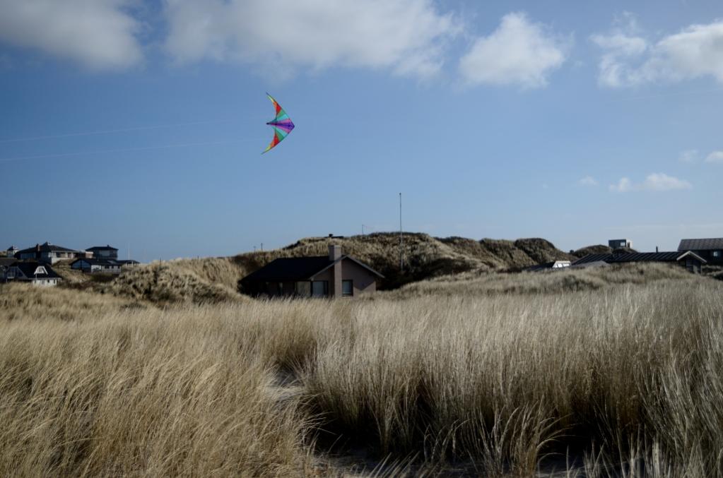 In den Dünen in Henne Strand