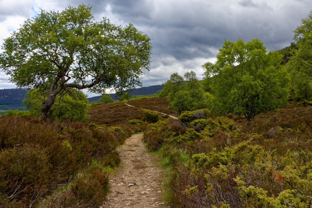In den Highlands