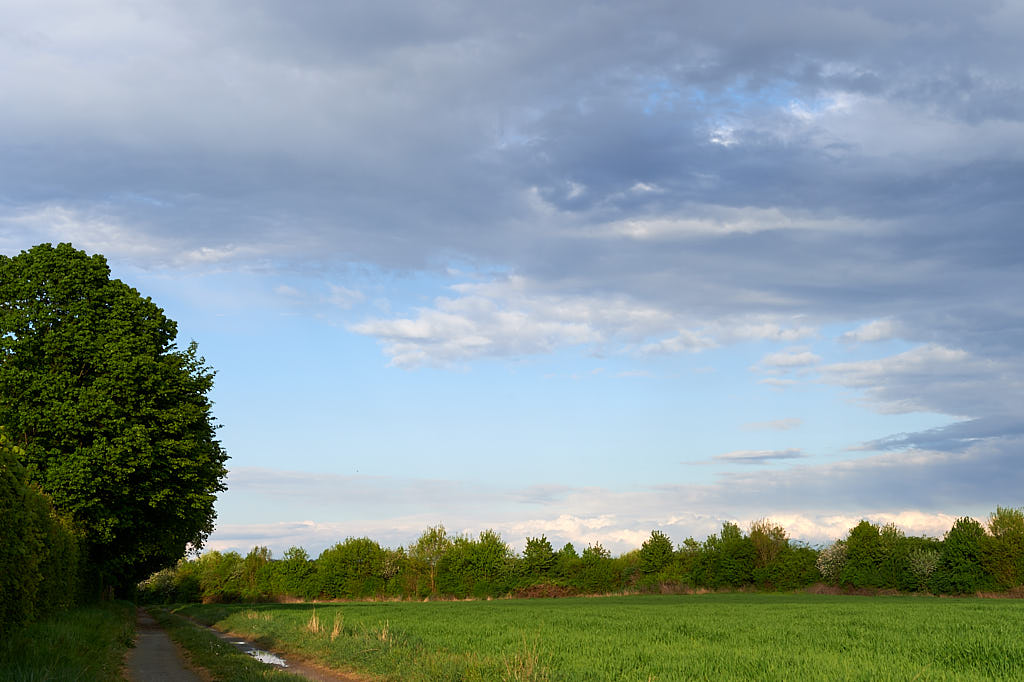 In der Abendsonne