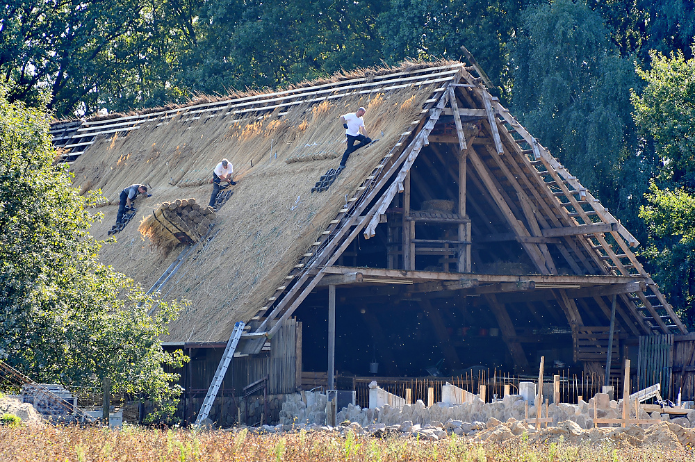 in der Lüneburger Heide.jpg
