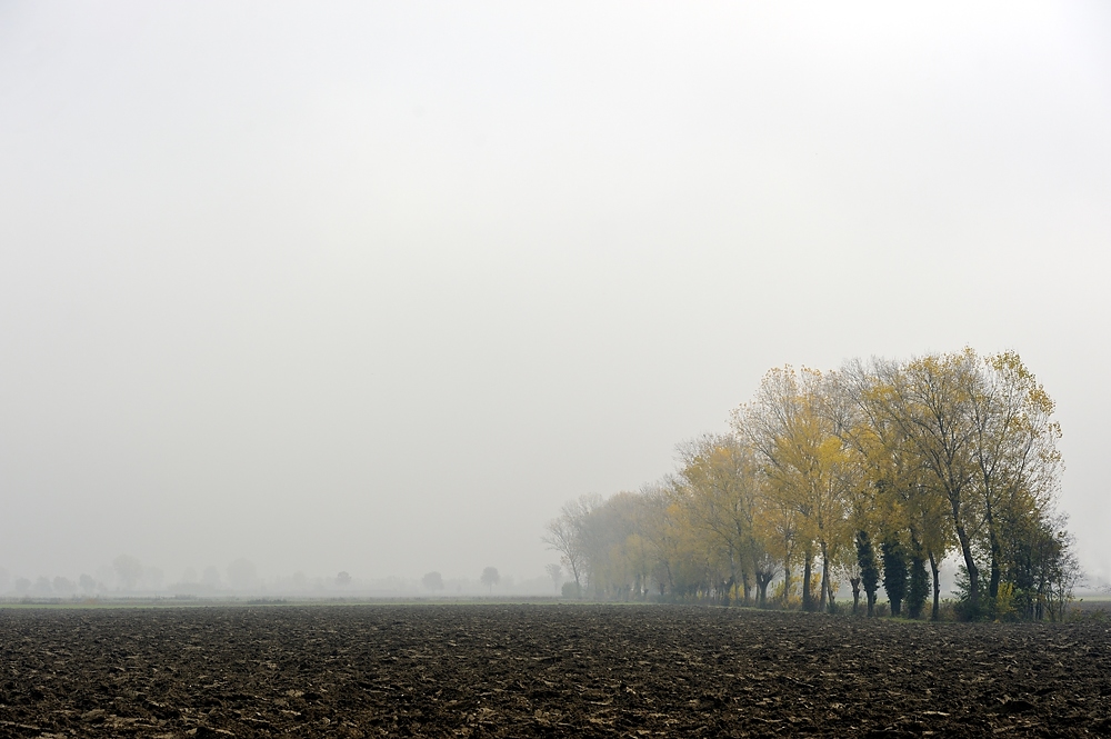 in der Poebene 1