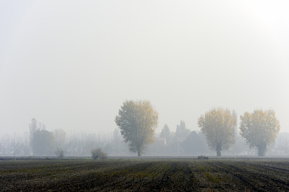 in der Poebene 2