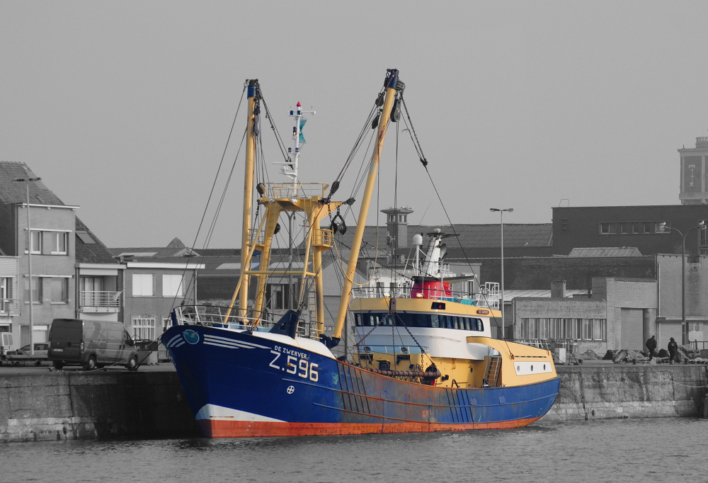 in Oostende