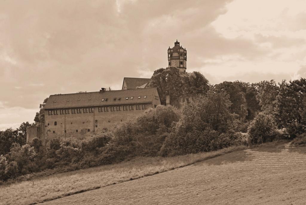 in Sepia