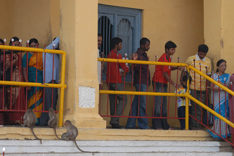Indians and monkeys (Chamundi Hill)