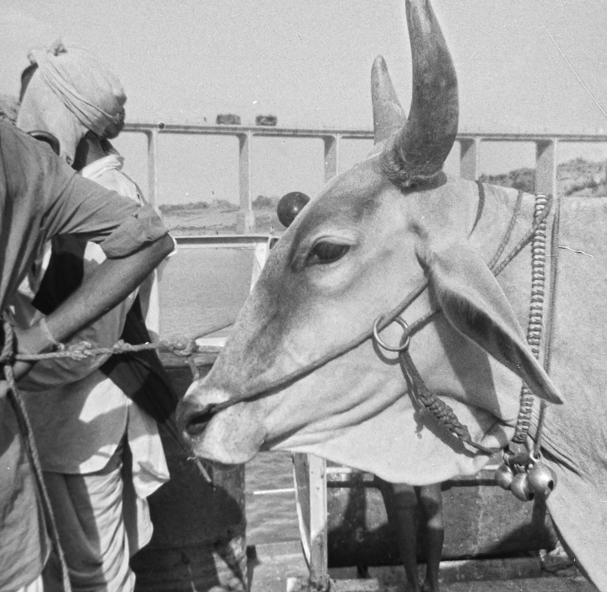 Indien1976-104.jpg