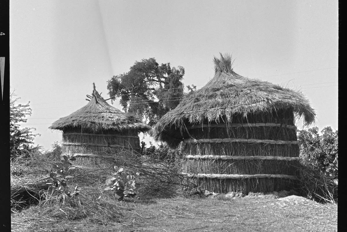 Indien1976-124.jpg