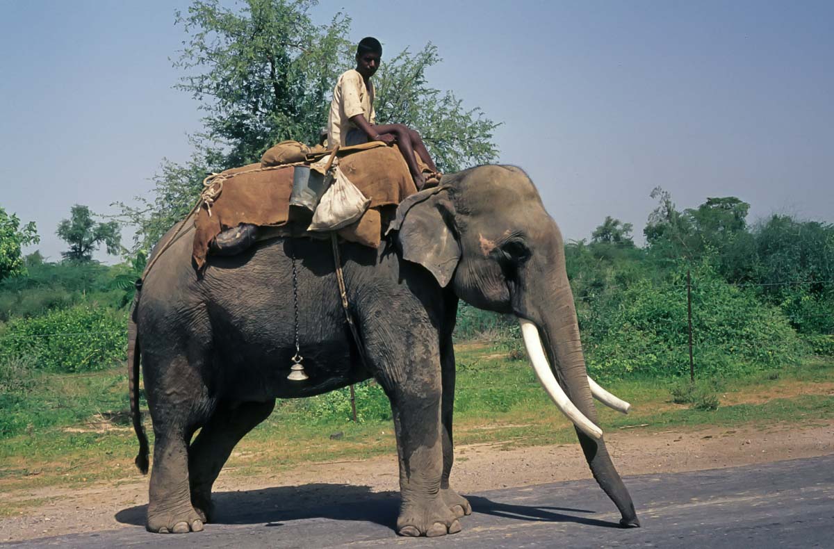 Indien1976-194.jpg