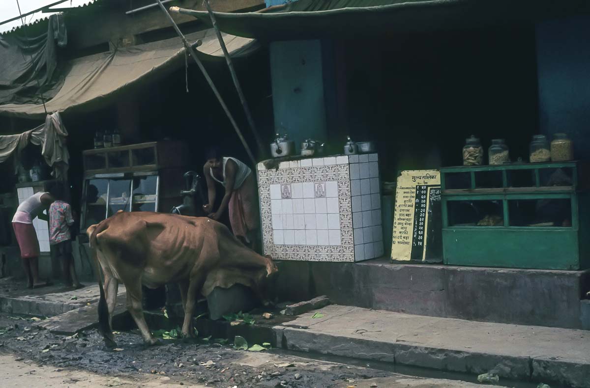 Indien1976-213.jpg