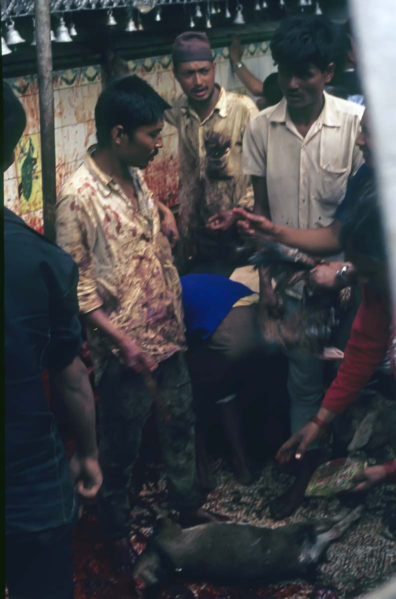 Indien1976-304.jpg