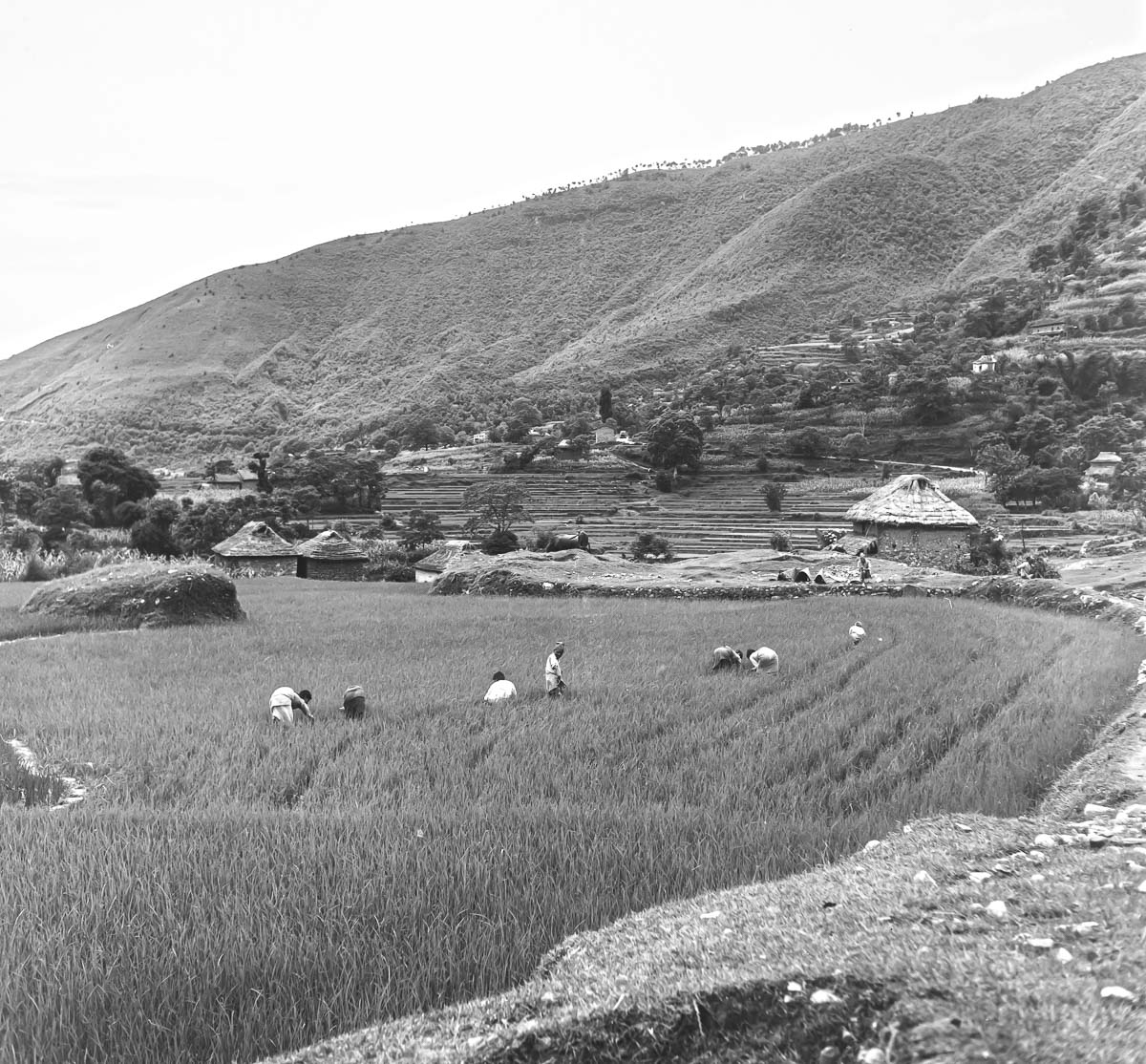 Indien1976-46.jpg