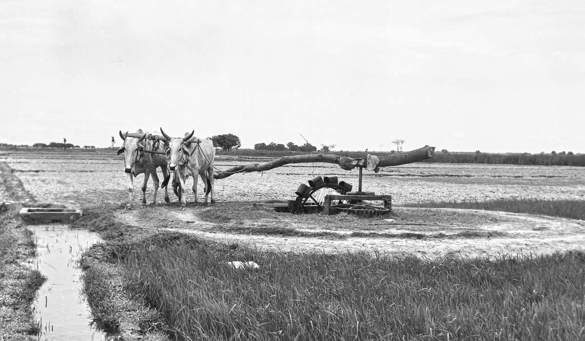 Indien1976-74.jpg