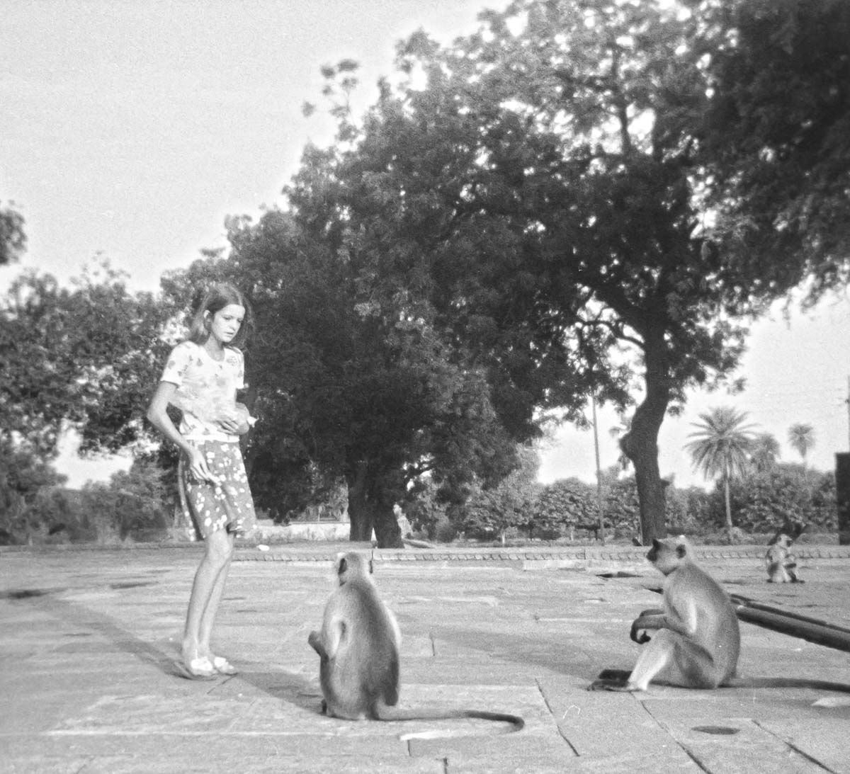 Indien1976-96.jpg