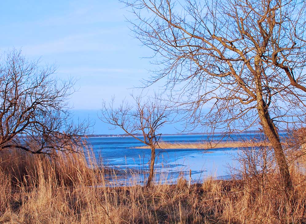 Insel Görmitz