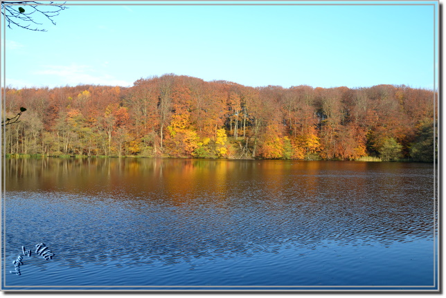Insel Rügen - Herbst (3)