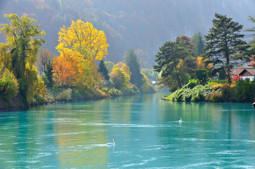 Interlaken West definitives Bild