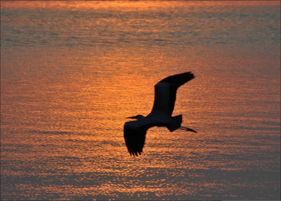 Into the light