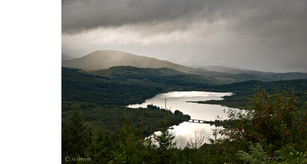 INV glen garry#1