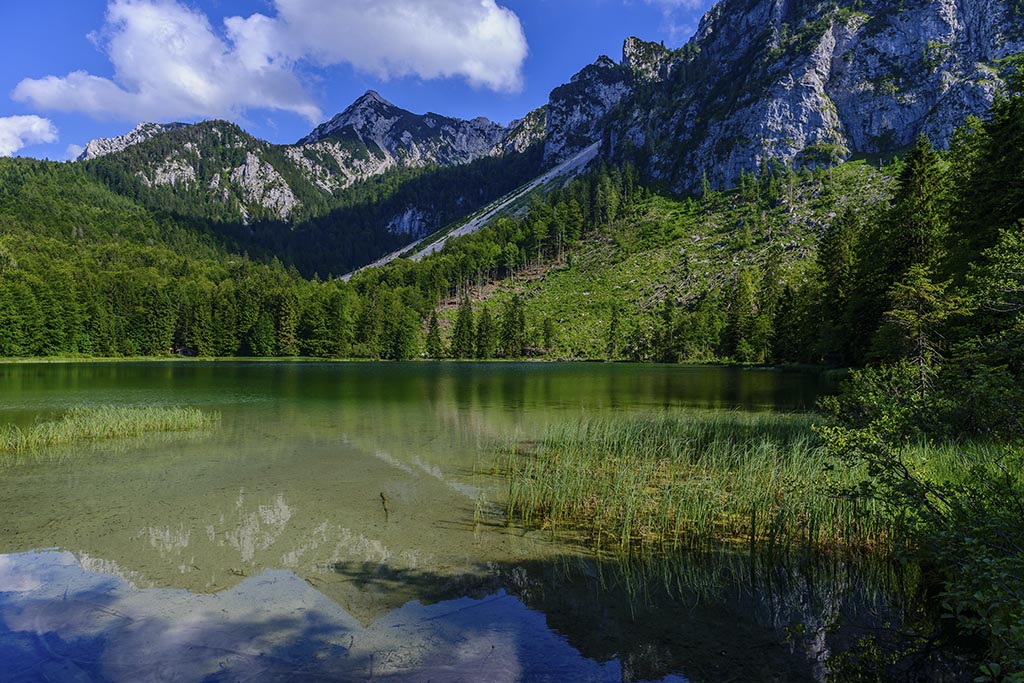 Inzell 50