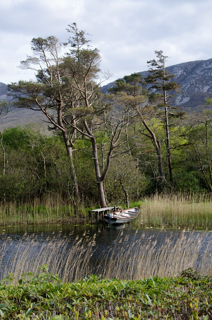 Irland DSC 0347