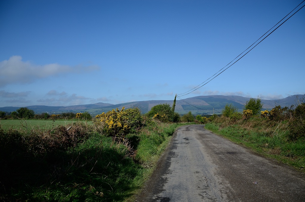 Irland DSC 9559
