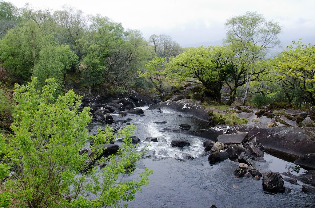 Irland DSC 9850